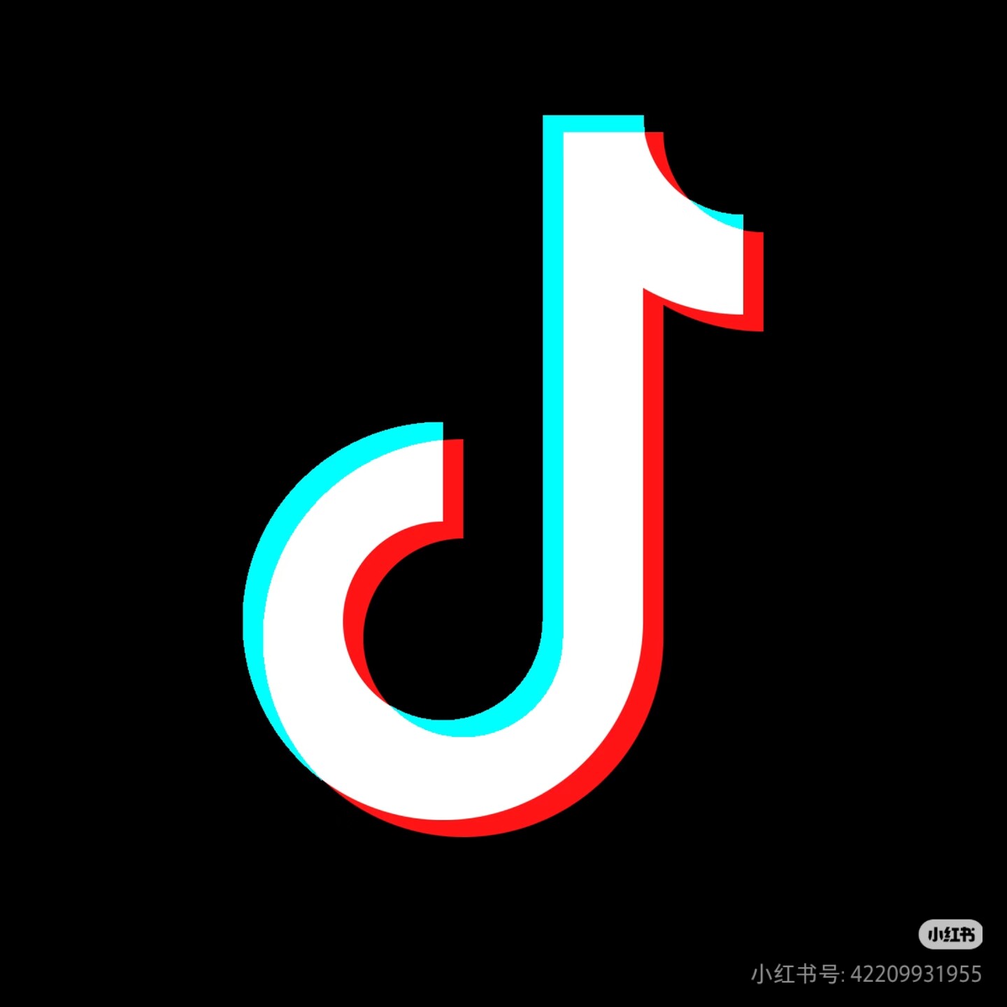 抖音图标